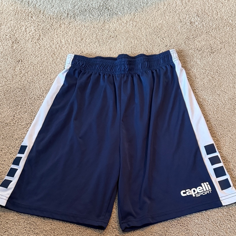 Capelli of New York Men's Blue and White Athletic Shorts